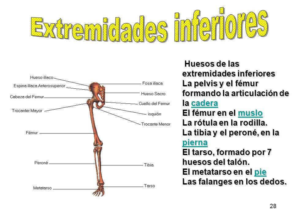 El tratamiento varikoza por las radioondas